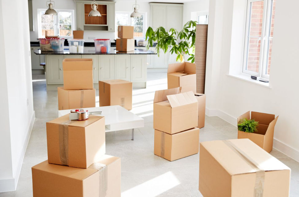  Moving companies Auckland