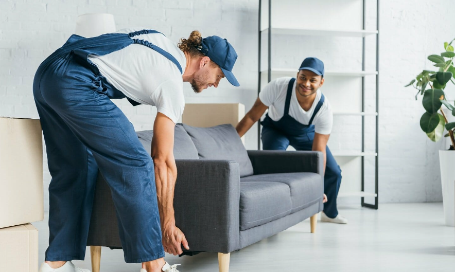 moving company in Auckland