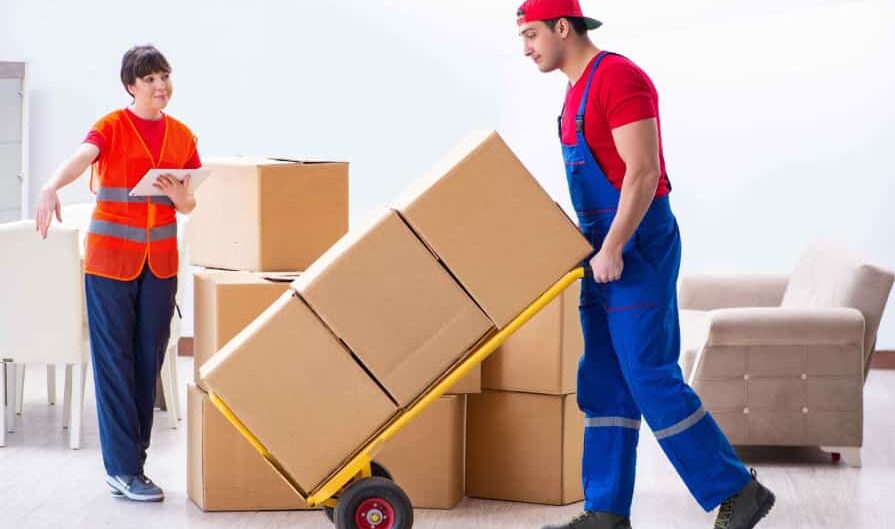 Auckland furniture movers